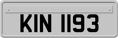 KIN1193