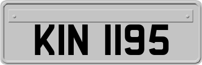 KIN1195