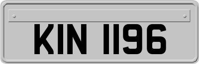 KIN1196