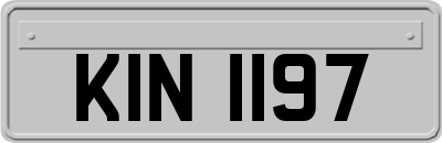 KIN1197