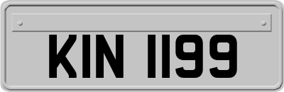 KIN1199