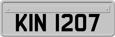 KIN1207