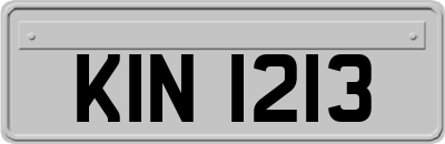 KIN1213