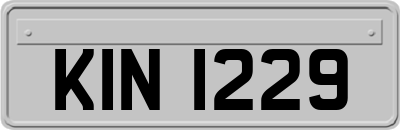 KIN1229