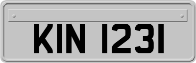 KIN1231