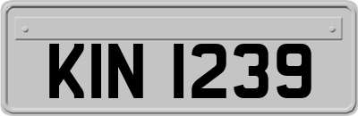 KIN1239