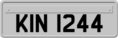 KIN1244