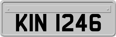 KIN1246