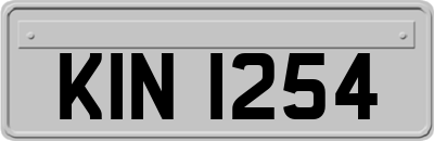 KIN1254