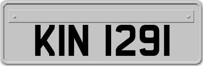 KIN1291