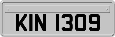 KIN1309