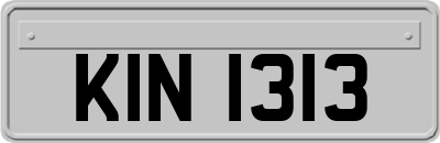 KIN1313