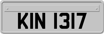 KIN1317