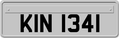 KIN1341