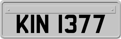 KIN1377