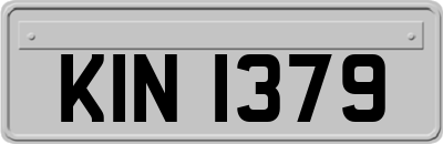 KIN1379