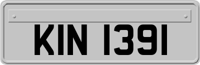 KIN1391