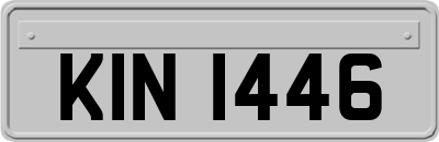 KIN1446