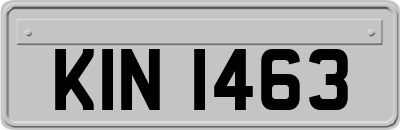 KIN1463