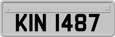 KIN1487