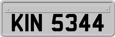 KIN5344