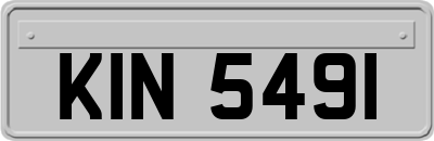 KIN5491