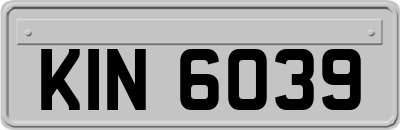 KIN6039