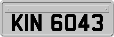 KIN6043