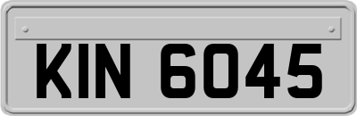 KIN6045