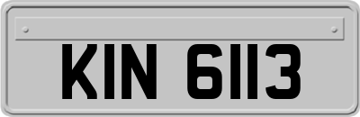 KIN6113