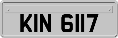 KIN6117