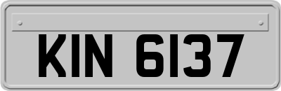 KIN6137