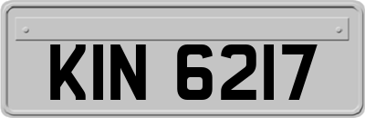 KIN6217