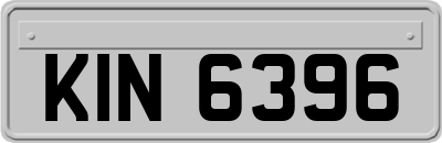 KIN6396