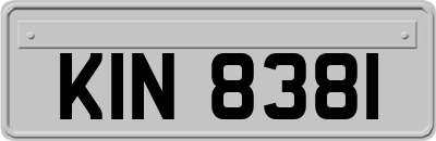 KIN8381