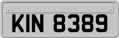 KIN8389