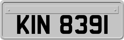 KIN8391