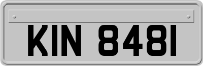 KIN8481