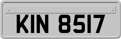 KIN8517