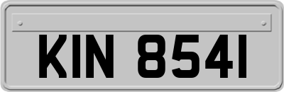 KIN8541