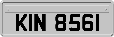 KIN8561