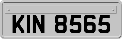 KIN8565