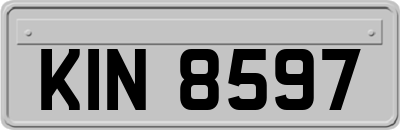 KIN8597