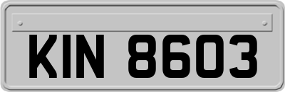 KIN8603