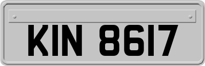 KIN8617