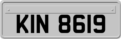 KIN8619