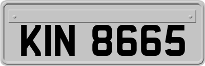 KIN8665