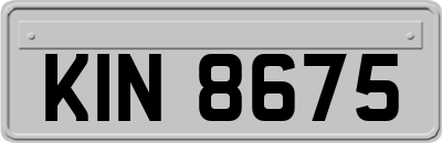 KIN8675