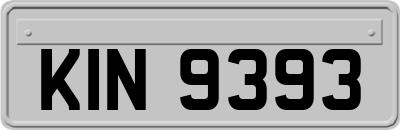 KIN9393