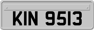 KIN9513